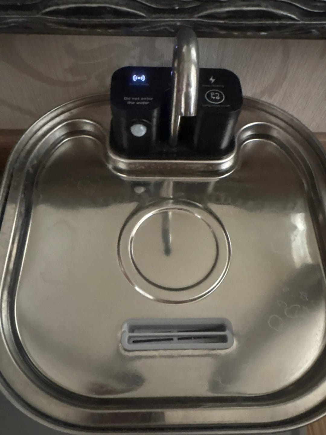 Customer photo review of 3.2L Pet Water Fountain – Wireless or Plug-In Options