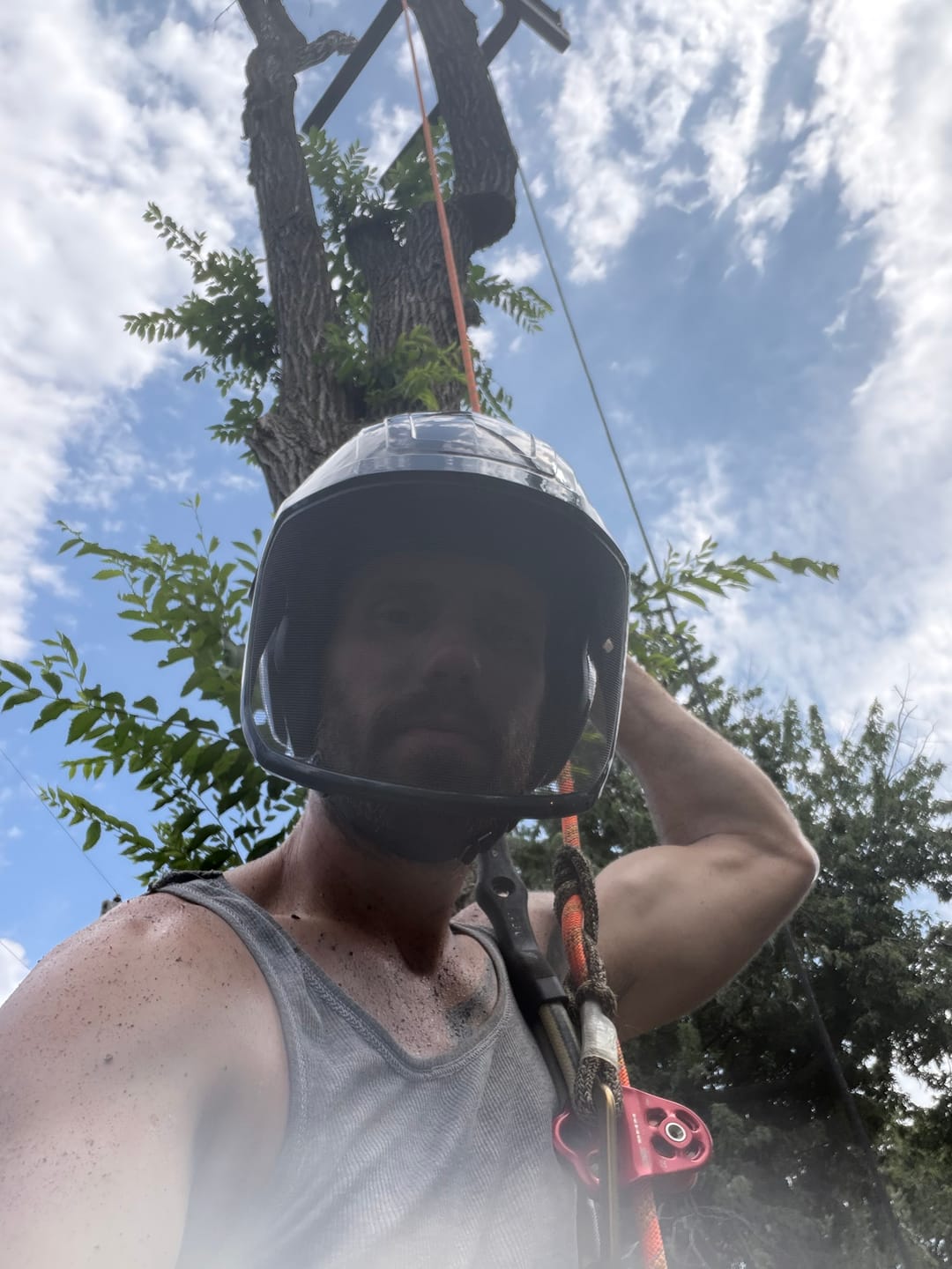Customer photo review of DMM Triple Attachment Pulley 2