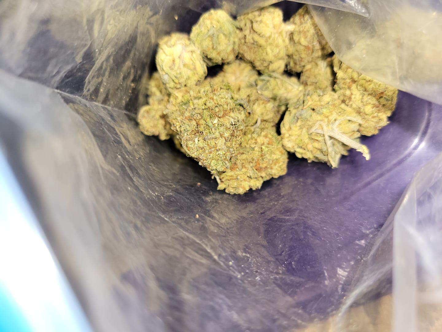 Customer photo review of Gorilla Glue THCA Flower