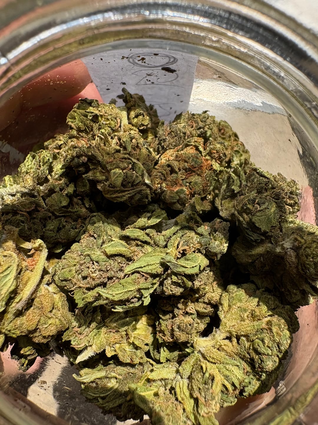 Customer photo review of OG Kush THCA Autoflower