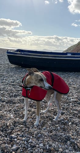Customer photo review of Stella - Extra Lightweight Unlined Summer Whippet Coat Red