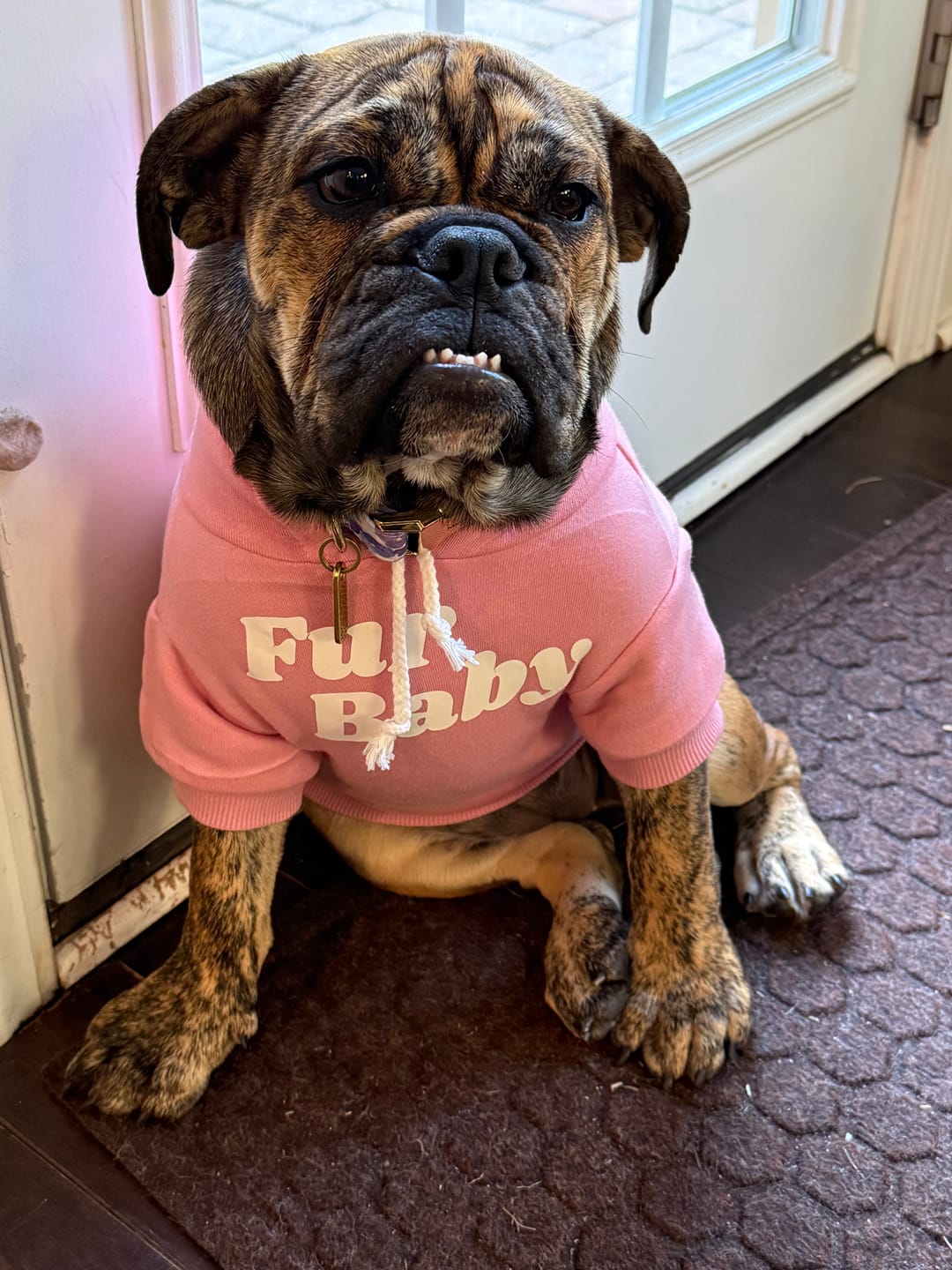 Customer photo review of "Fur Baby" Dog Hoodie