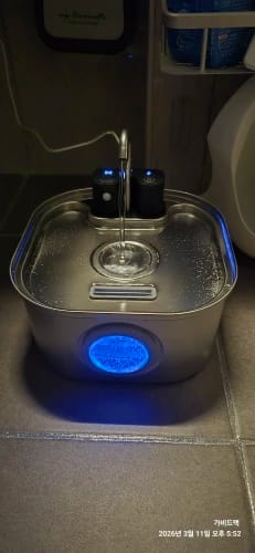 Customer photo review of 3.2L Pet Water Fountain – Wireless or Plug-In Options