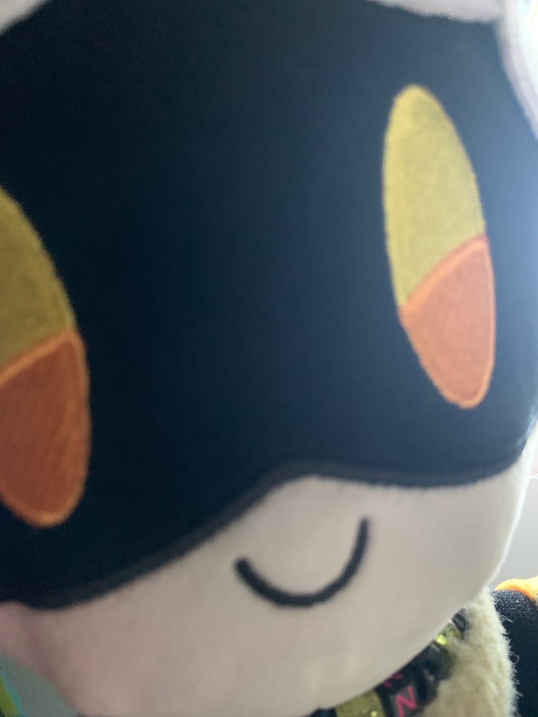 Customer photo review of N Plush