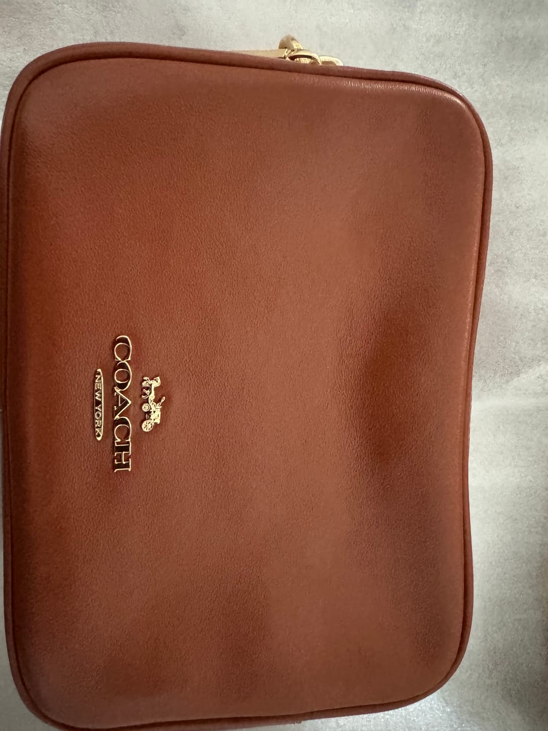 Customer photo review of Coach Mini Carey Crossbody Bag In Cinnamon CEA02