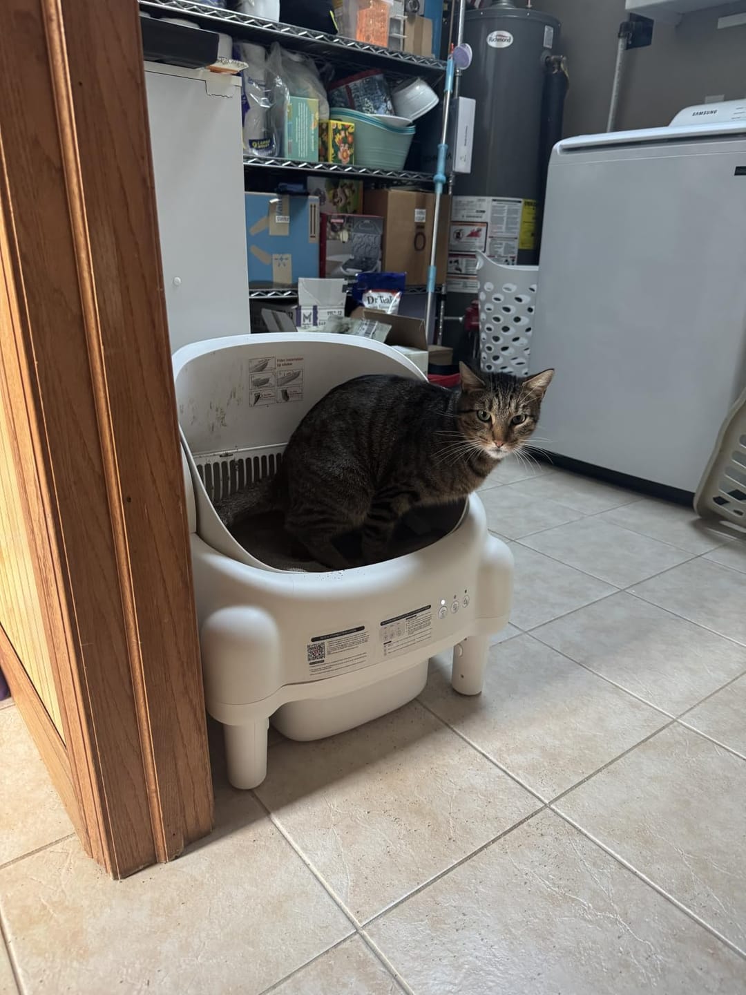 Customer photo review of CleanPaw Katzenklo Automatisch