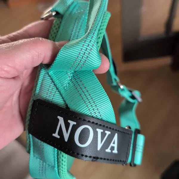 Customer photo review of DOGSPOKE™ RestEasy No Pull Dog Harness