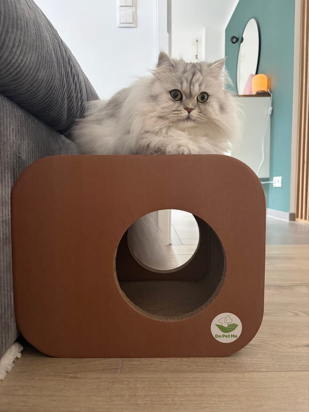 Customer photo review of Kratzwürfel Scratching Cube