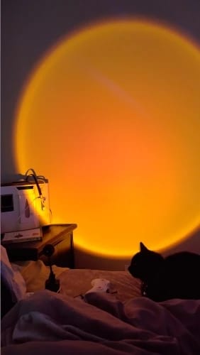 Customer photo review of Sunset Projection Lamp