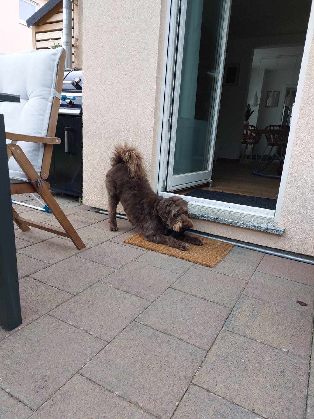 Customer photo review of Wurmtest Pro Hund