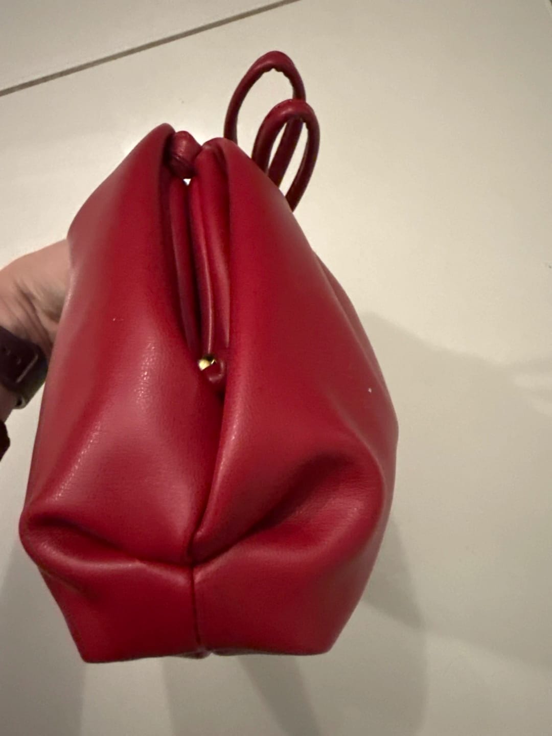 Customer photo review of Bellina Pouch