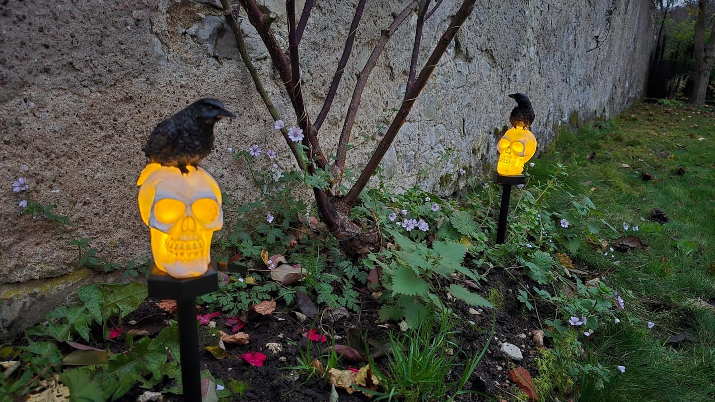 Customer photo review of Halloween Crow Skull Solar Light™