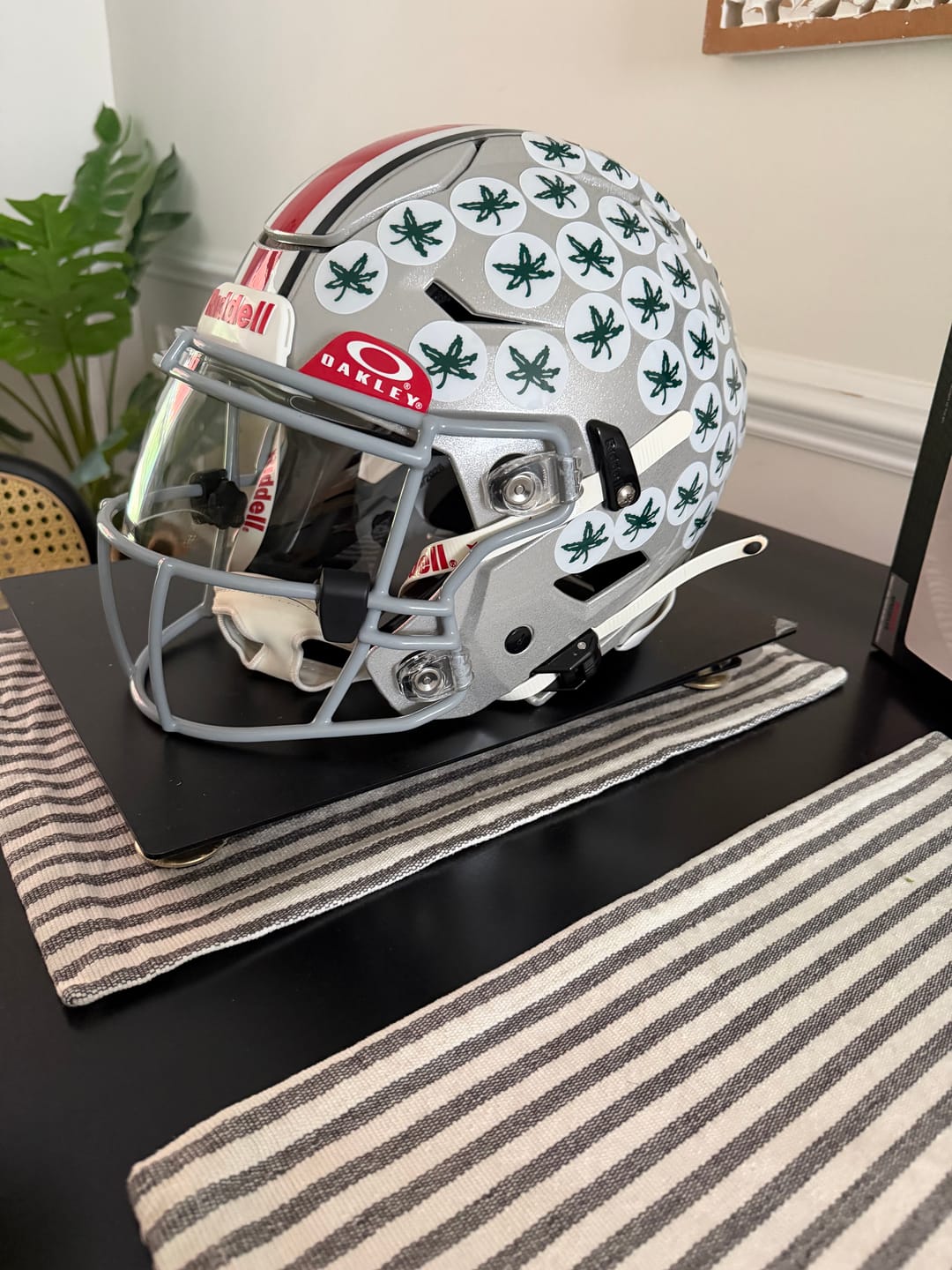 Customer photo review of OSU Buckeyes Riddell SpeedFlex Authentic Helmet