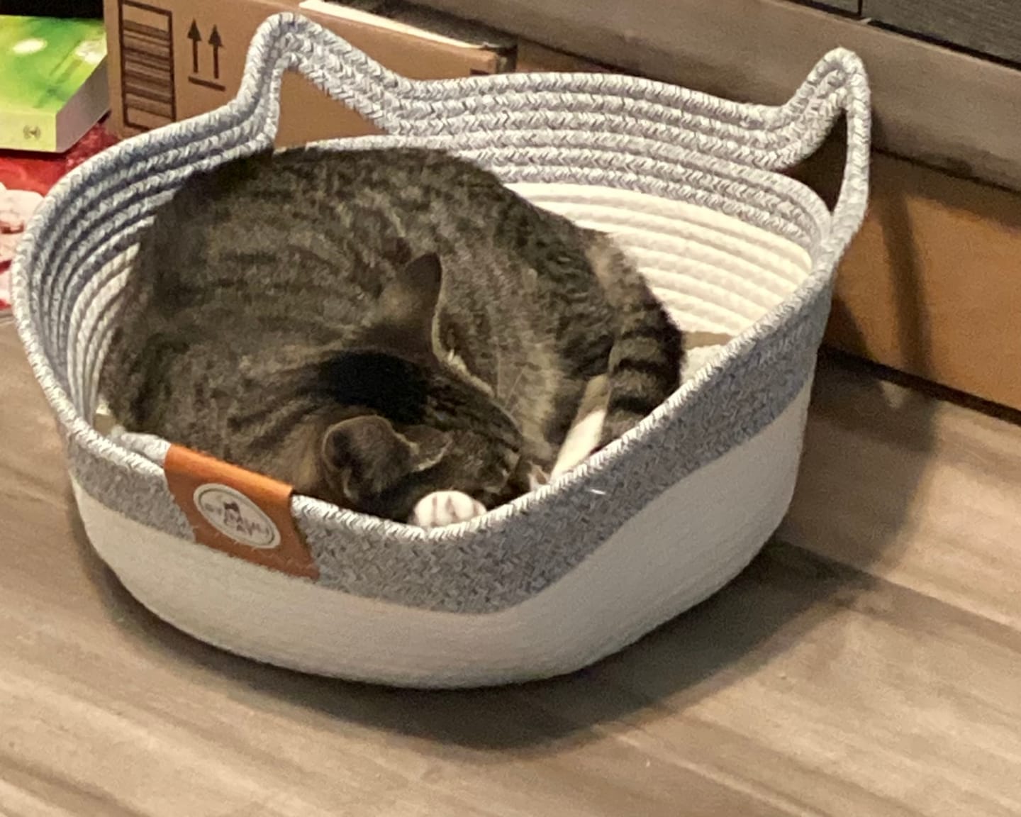 Customer photo review of Instinct Basket | Meet the first research-backed natural territory for indoor cats