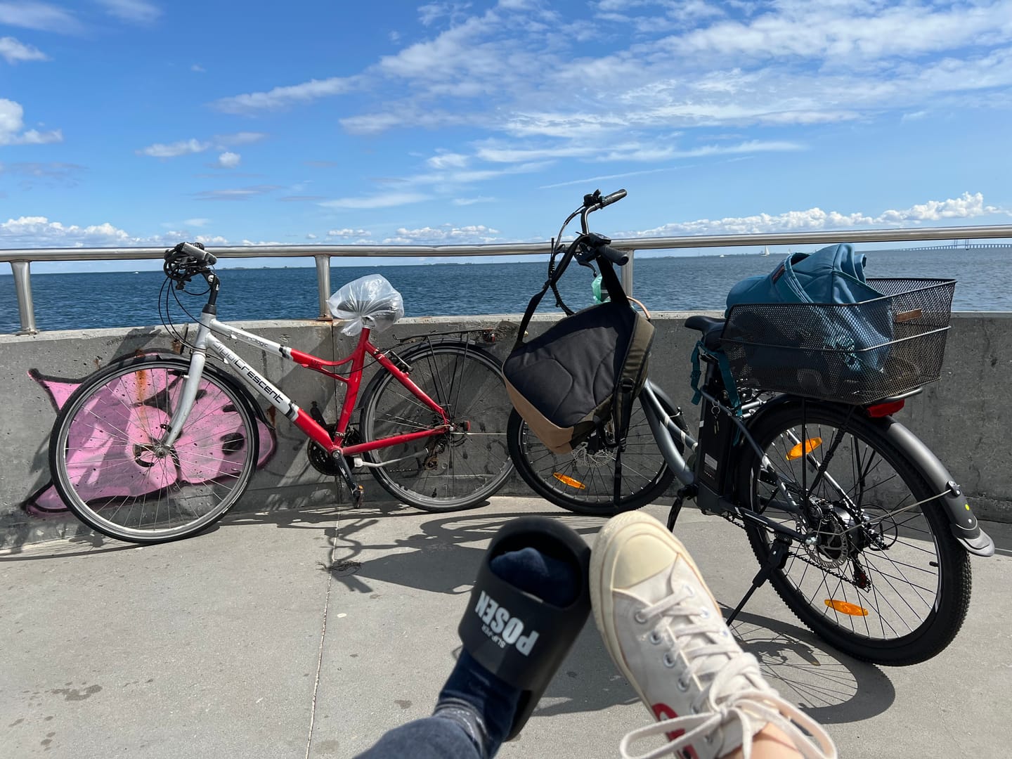 Customer photo review of Touroll B1 City Electric Bike