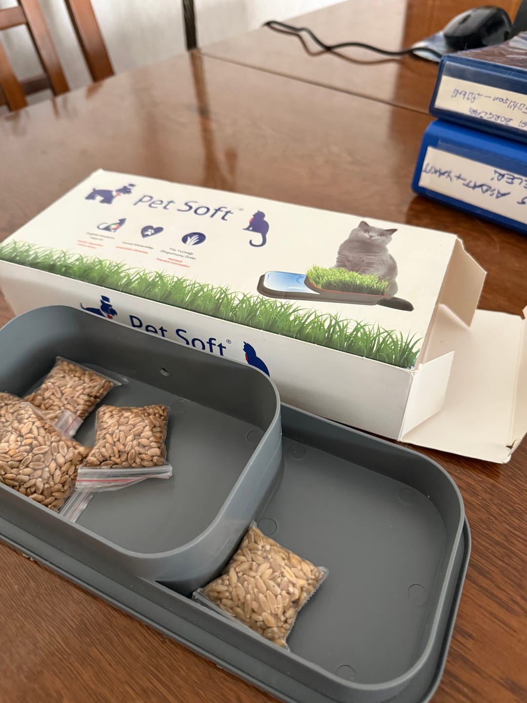 Customer photo review of CatGarden™  Topraksız Kedi Çimi Yetiştirme Seti / 5 Paket Tohum hediye