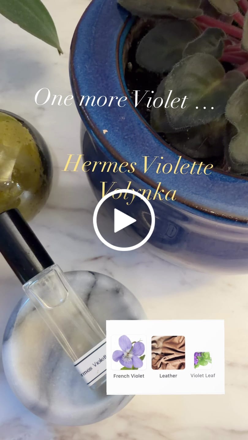 Customer video review of Hermes Violette Volynka