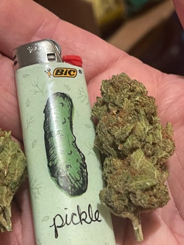 Customer's hand holding a dense green Pink Cookies bud next to a pickle-themed Bic lighter.