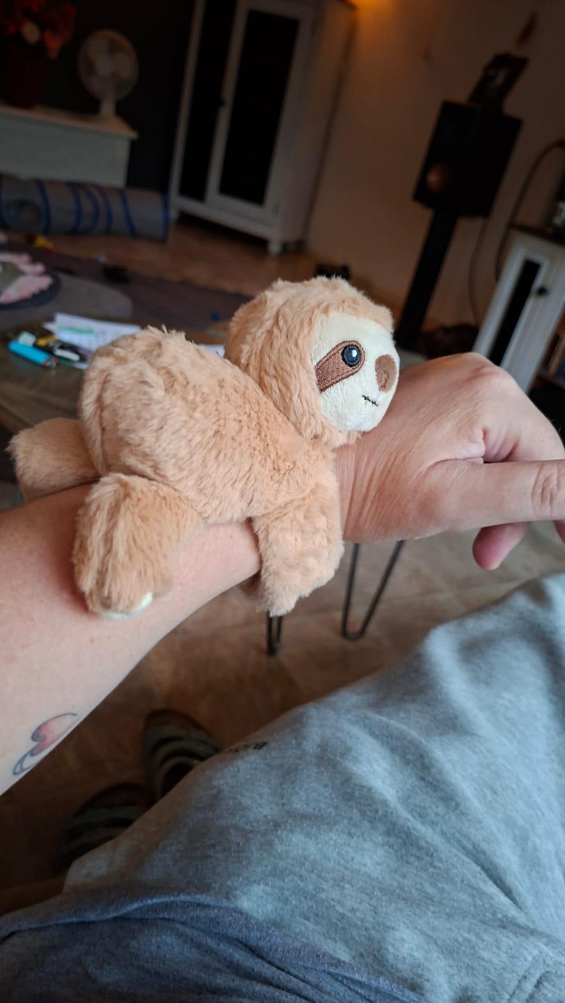 Customer photo review of Mini Lotgenootje Luiaard