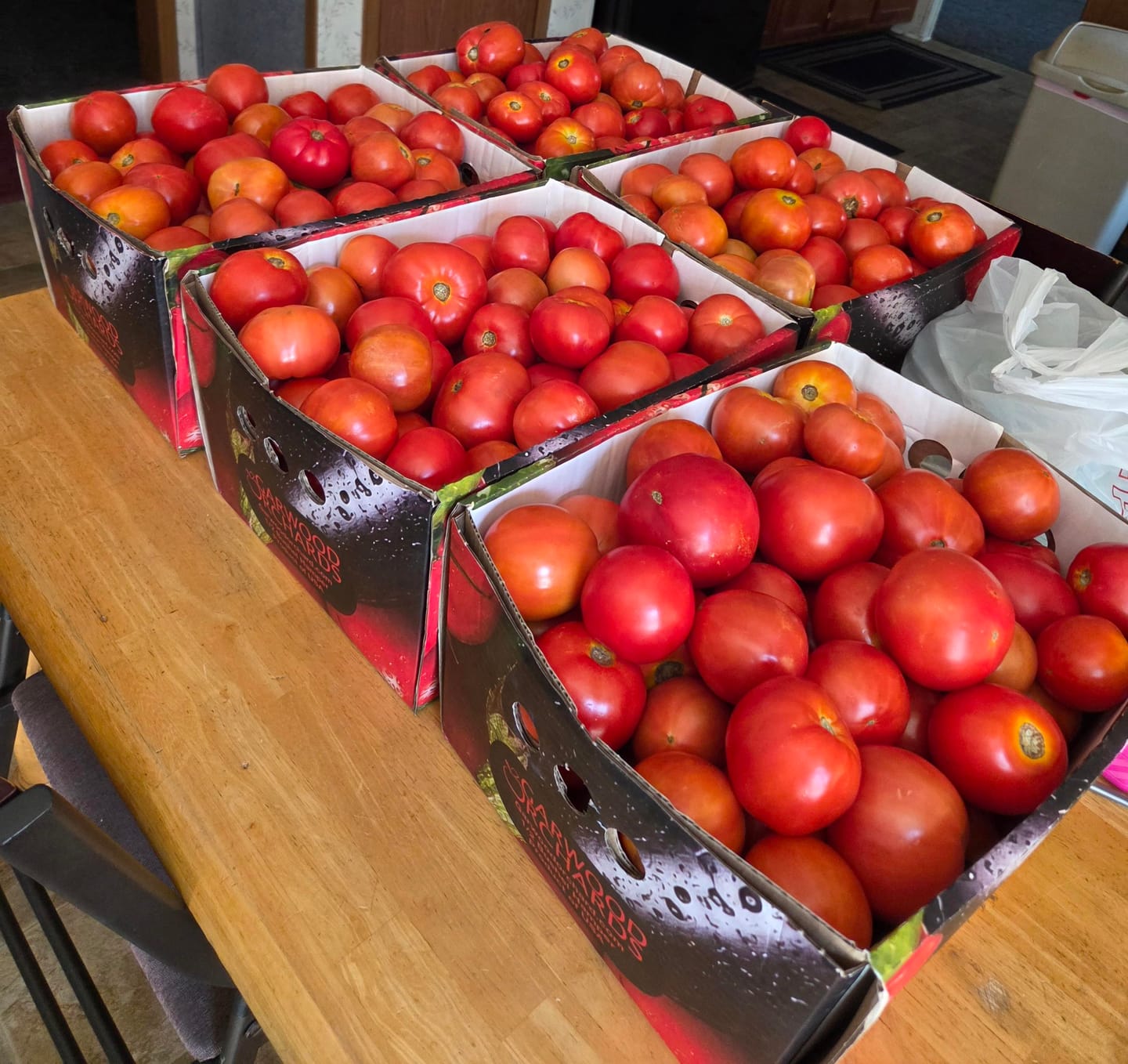 Customer photo review of Indiana Red Canning Tomatoes 1/2 BU (25lb)