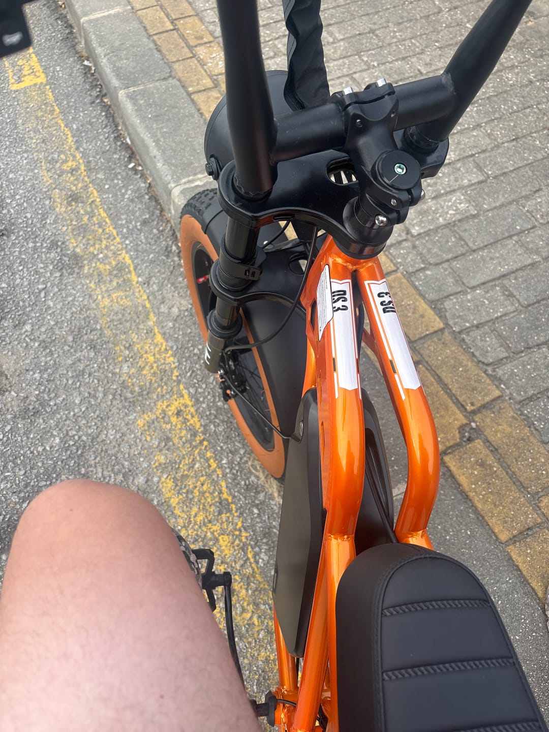 Customer photo review of PVY A20