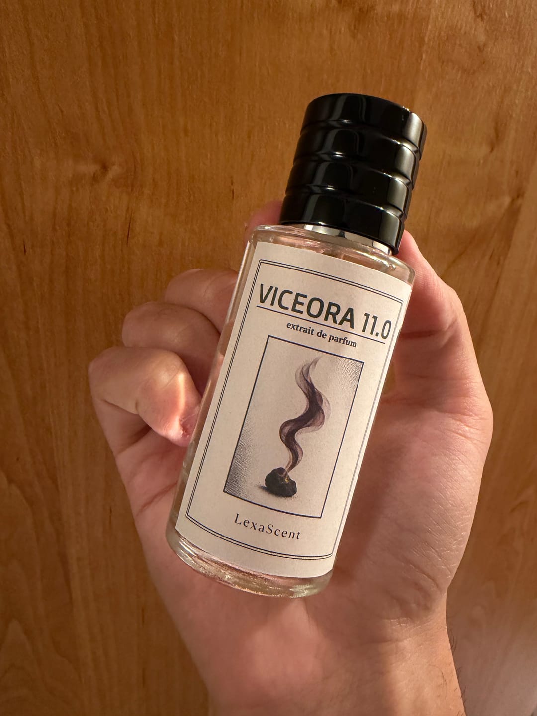 Customer photo review of VICEORA 11.0
