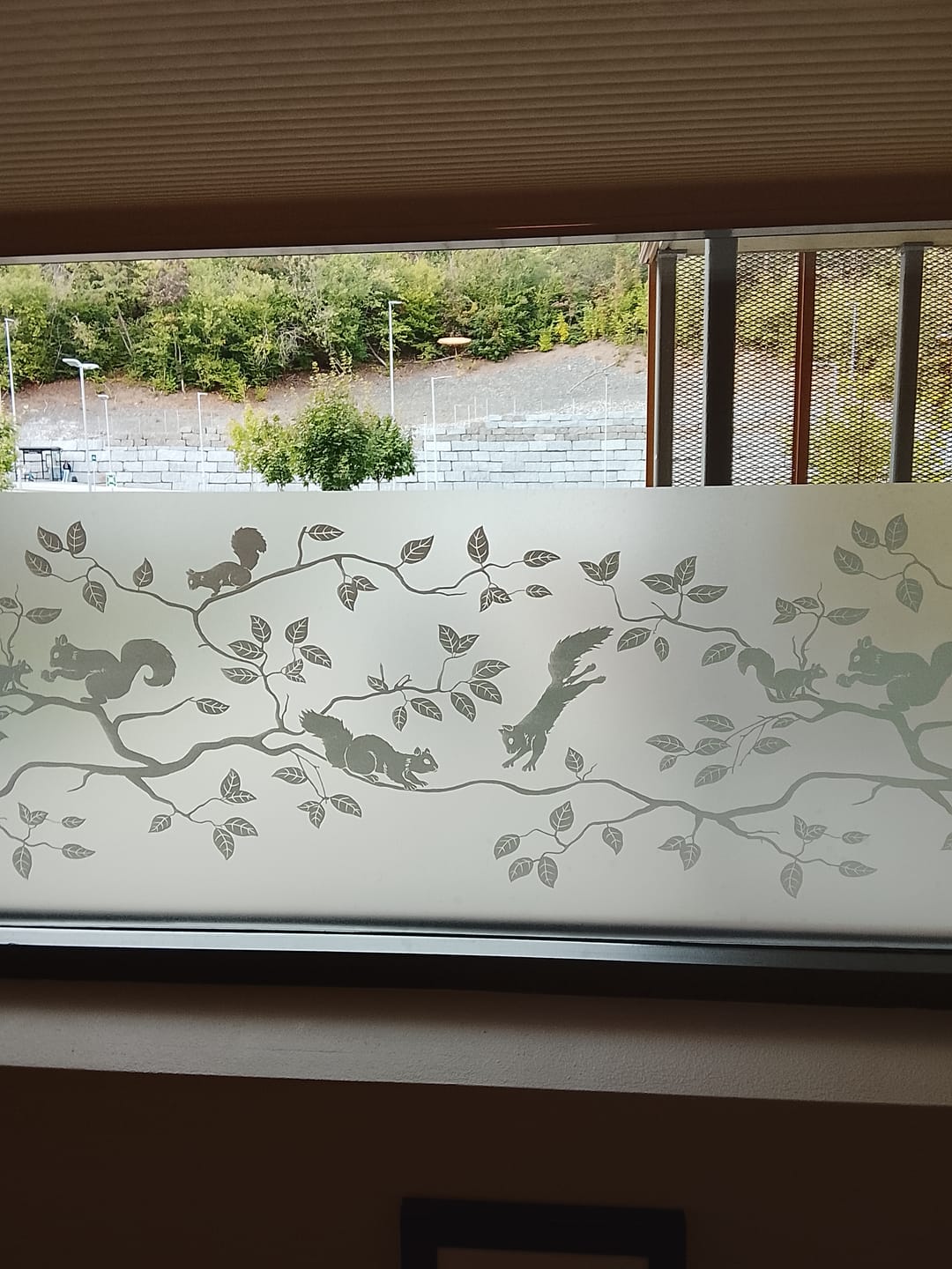 Customer photo review of Static Premium Pineview vindusfolie