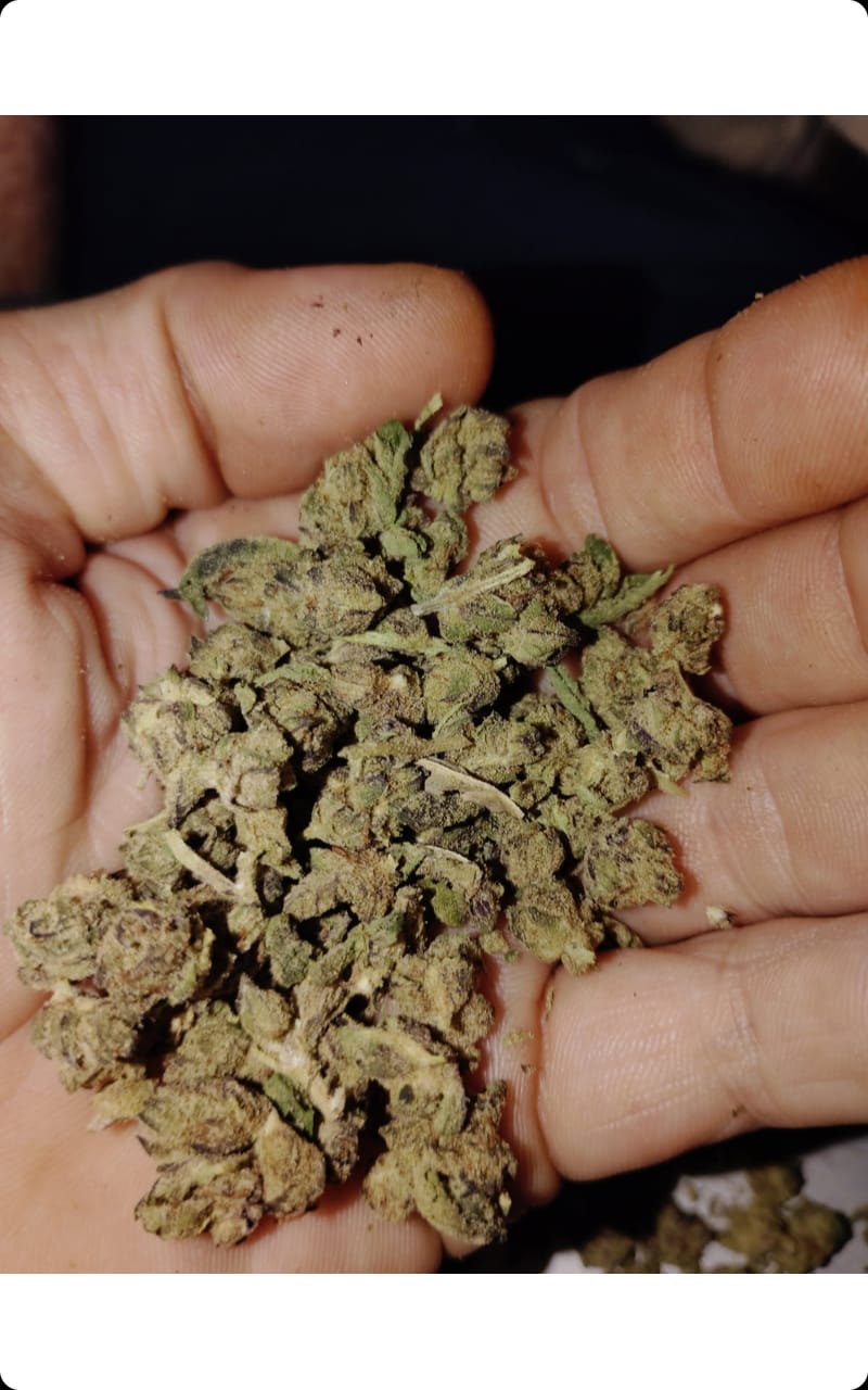 Customer photo review of Cheap THCA Smalls Ounce