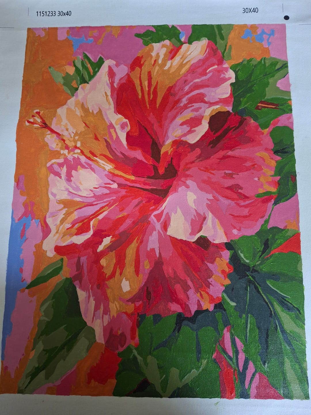 Customer photo review of Surprise Painting | Paint by Numbers