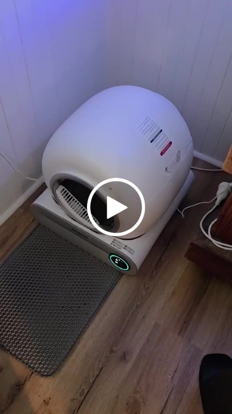 Customer video review of Petbuds™ Pro 2026 Automatic Self-Cleaning Litter Box
