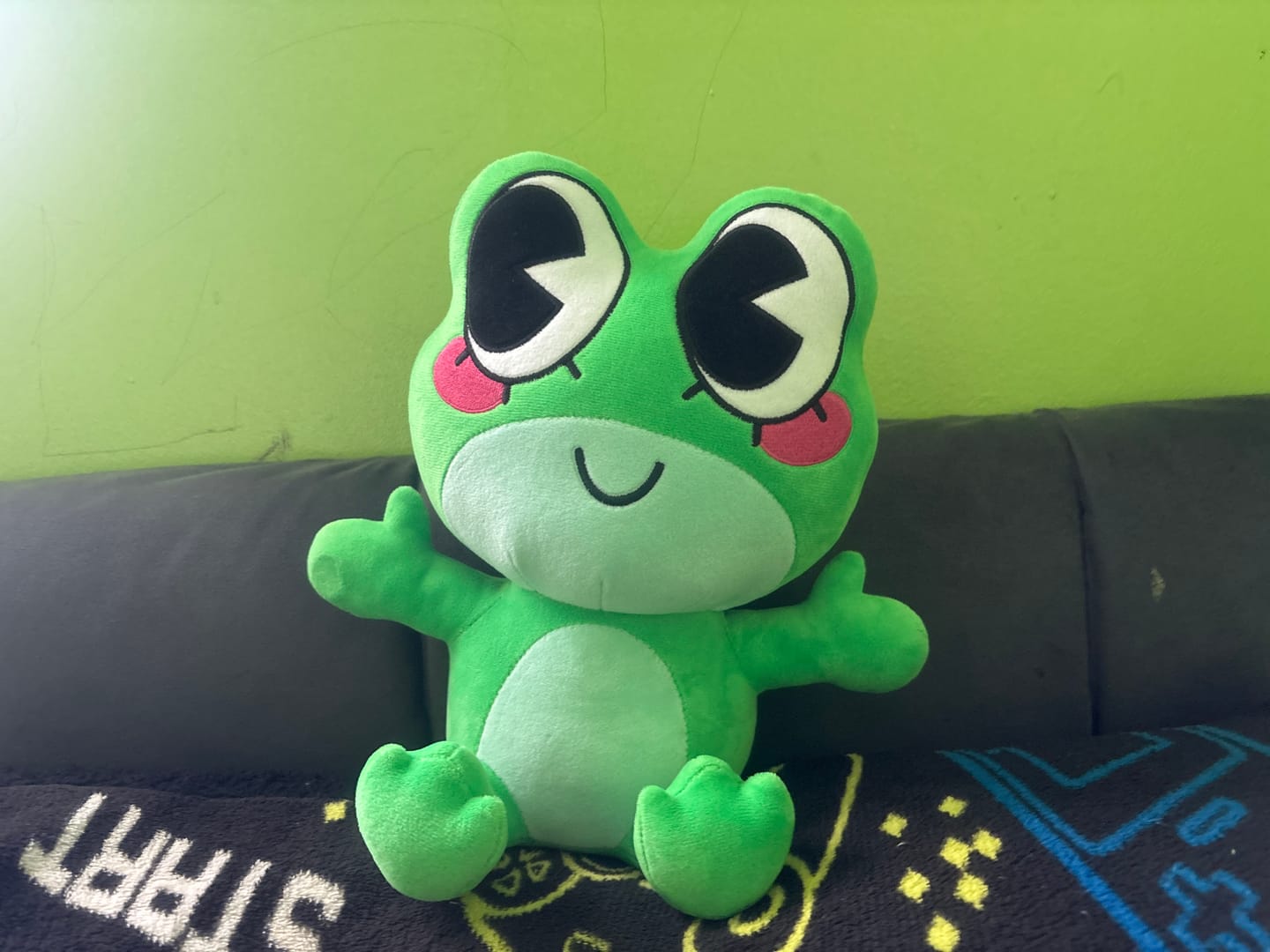 Customer photo review of Ribbit Plush