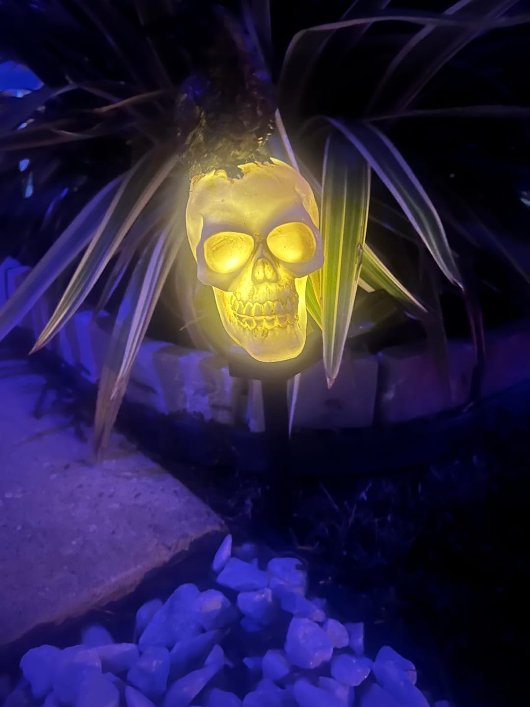 Customer photo review of Halloween Crow Skull Solar Light™