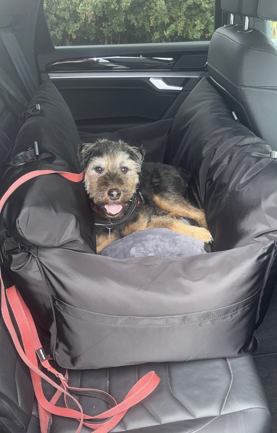Customer photo review of Travel Dog Pod XL - Now With Isofix