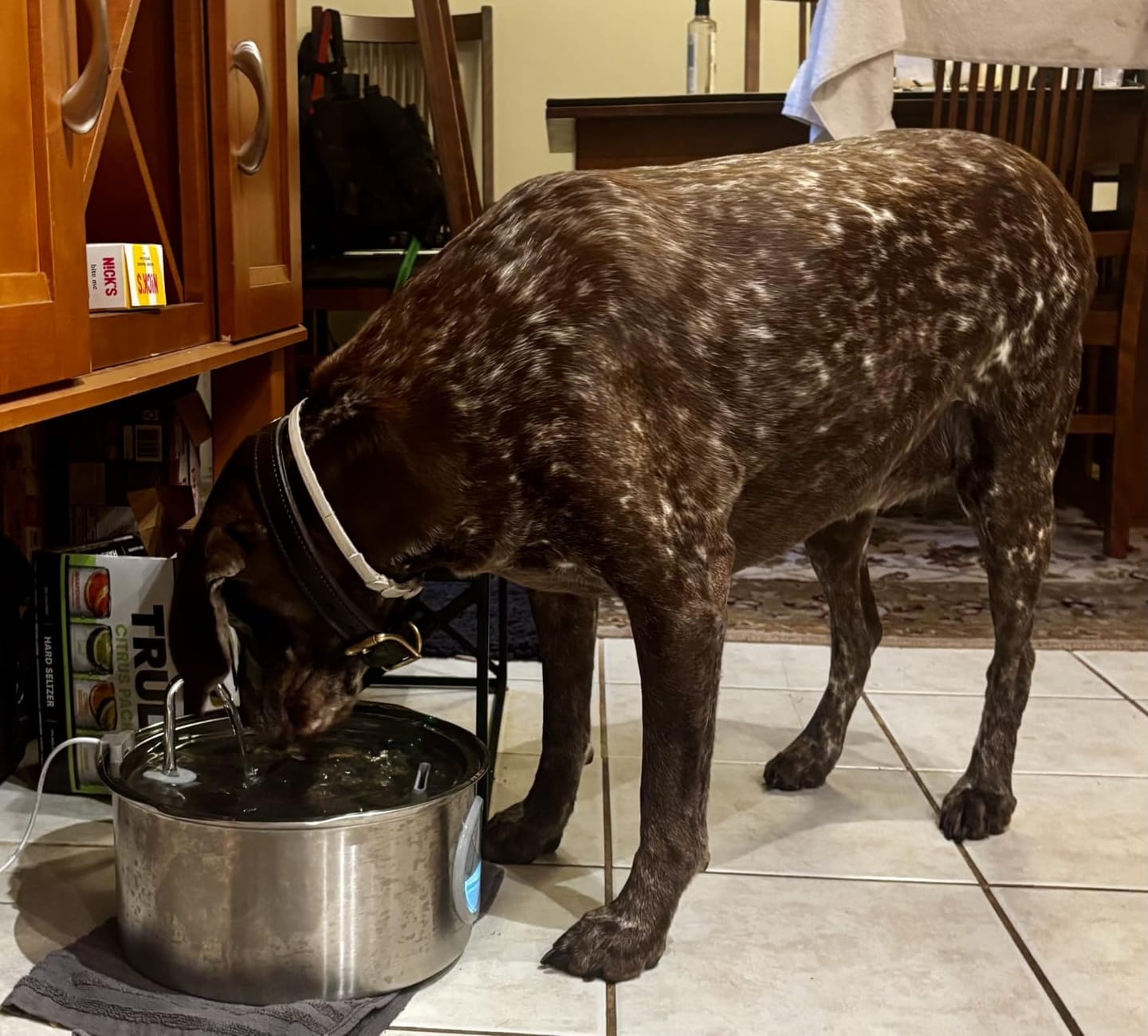 Customer photo review of Doggy FreshFlow™ Healthy Hydration 1
