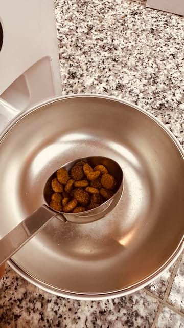 Customer photo review of Futterautomat FeedMate