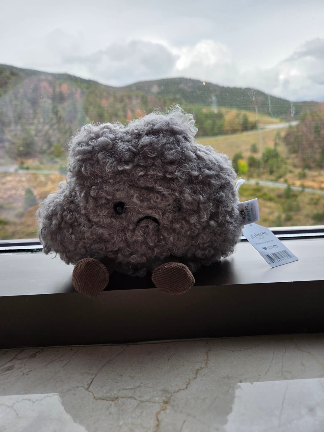 Customer photo review of Amuseables Storm Cloud