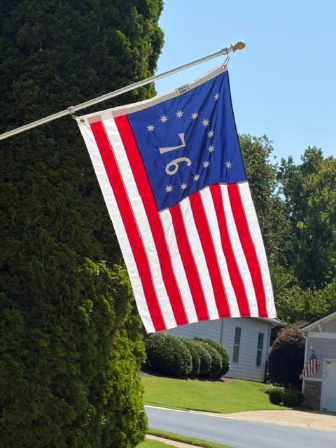 Customer photo review of 3' x 5' Bennington Flag