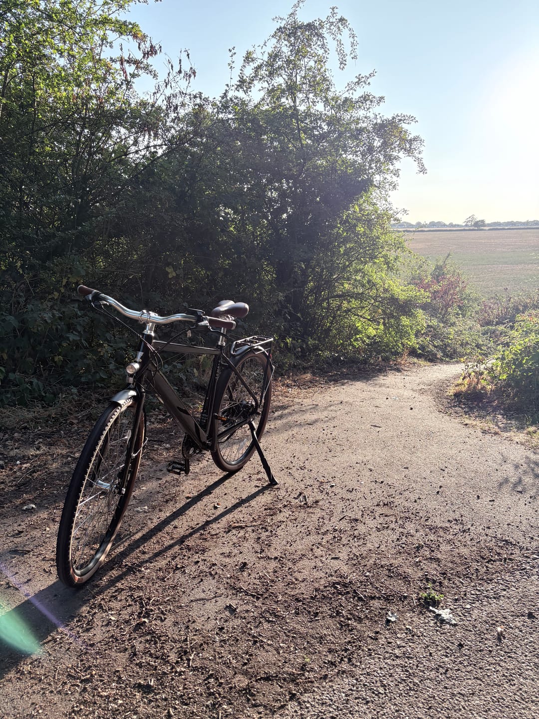 Customer photo review of Classic Electric II