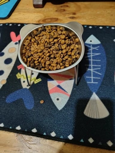 Customer photo review of Comedero ortopédico - Gato