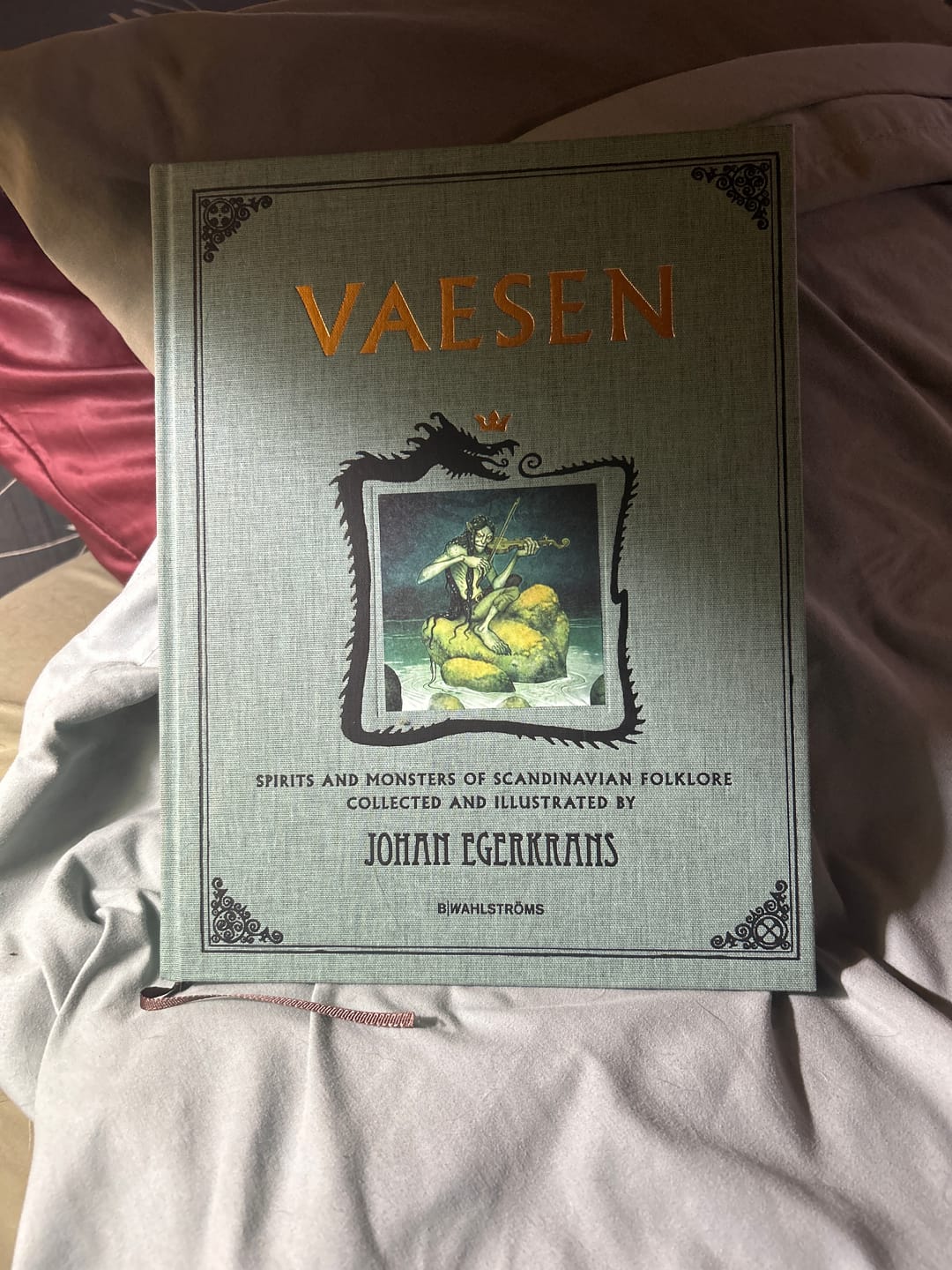 Customer photo review of VAESEN ANNIVERSARY EDITION - SIGNED BOOK & PRINT