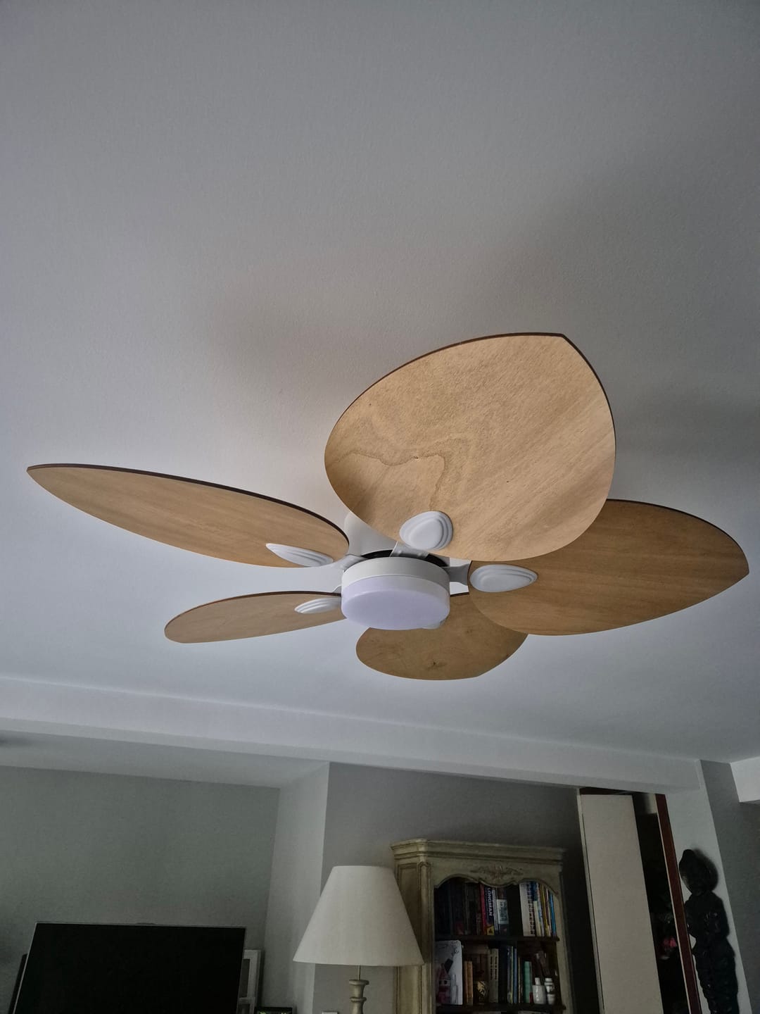 Customer photo review of Dahlia teinté Chêne | Ventilateur de plafond