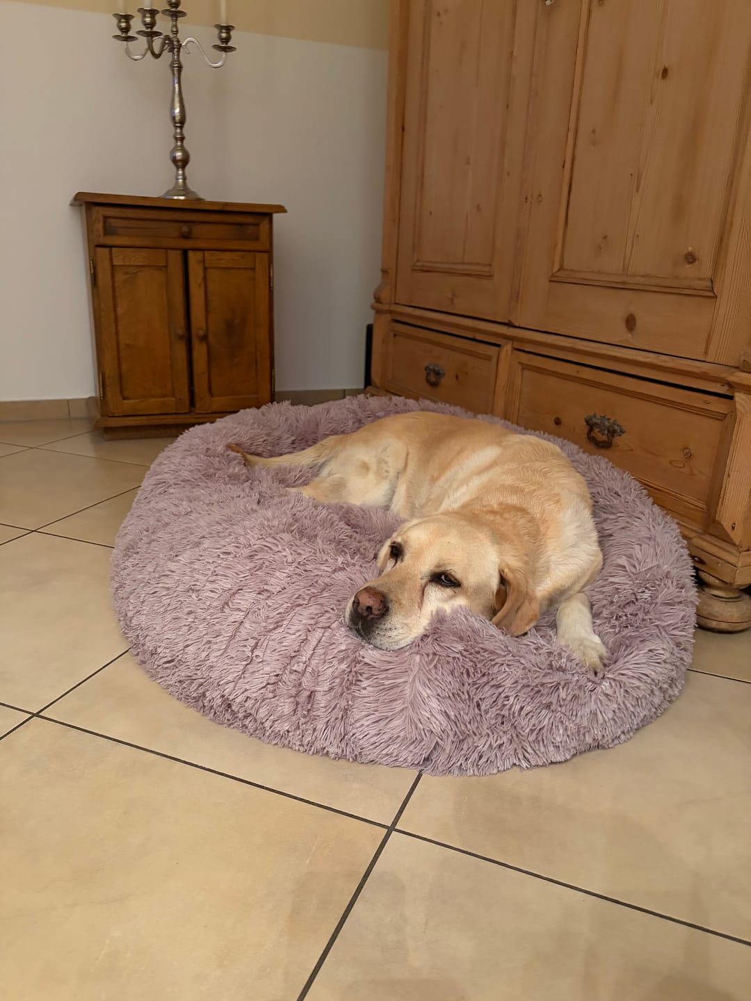 Customer photo review of Puppery Hundebett Wolke 7 - Das Original