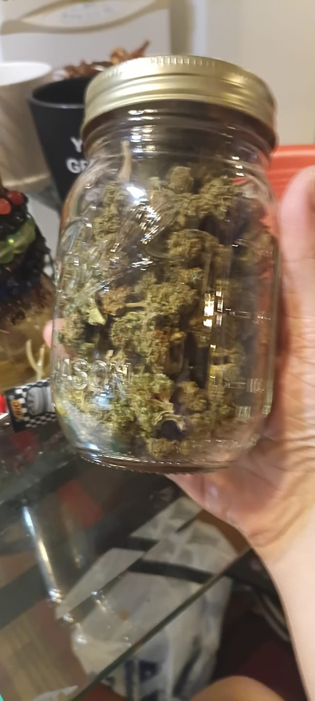 Customer photo review of Blackout Berries THCA Flower Ounce (28g)