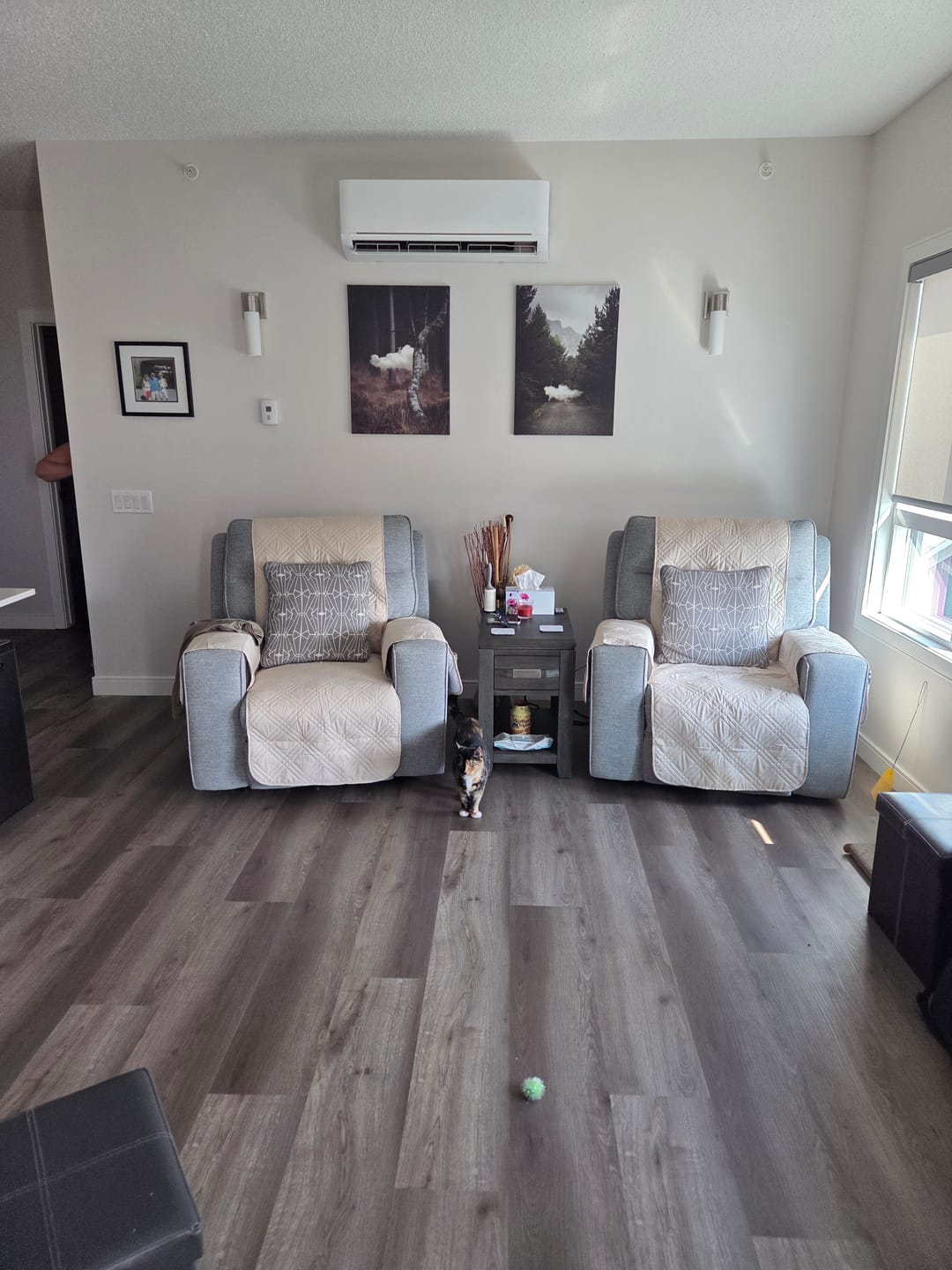 Customer photo review of Waterproof Recliner Chair Cover with Double Straps