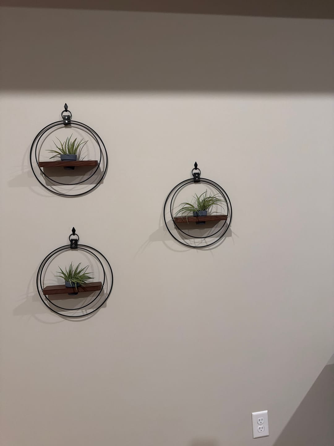 Customer photo review of Air Plant Shelf + Pot Trio