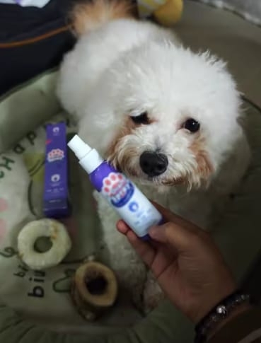 Customer photo review of Spray Dental Para Perros y Gatos
