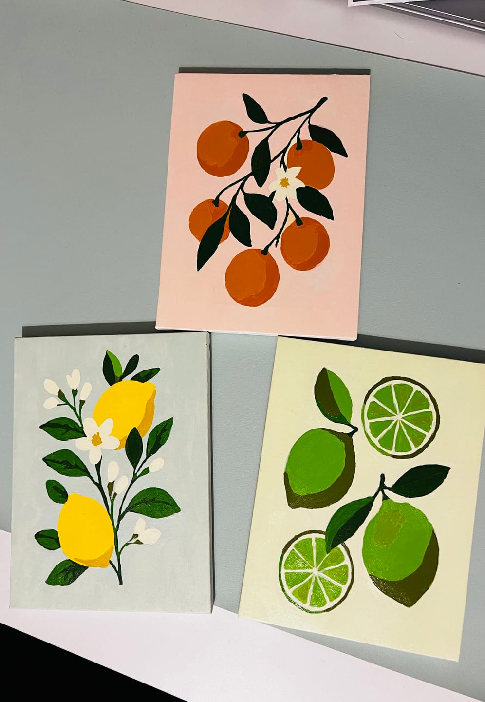 Customer photo review of 6 Mini Paintings - Fruit Plant Set