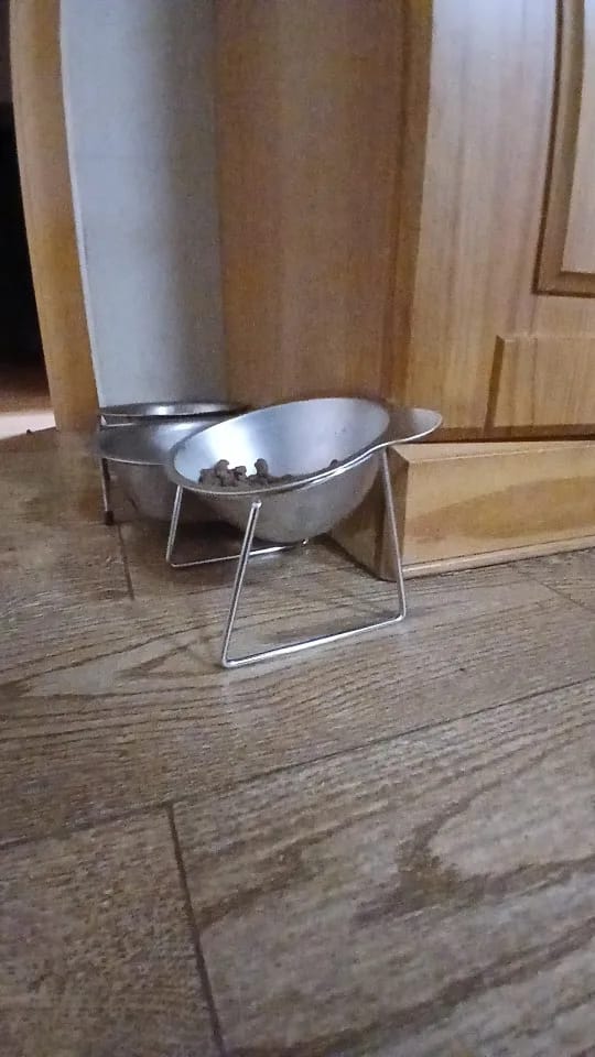 Customer photo review of Comedero ortopédico - Gato