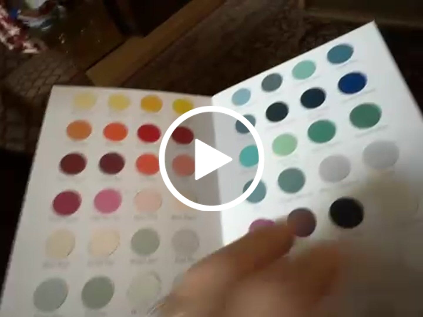Customer video review of One Step Paint - Color Guide