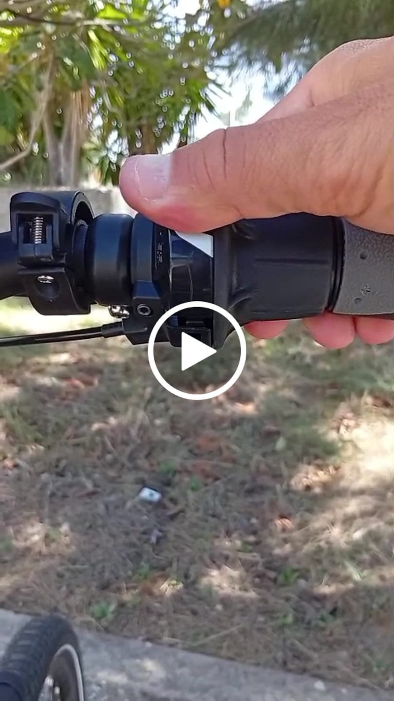 Customer video review of Siena